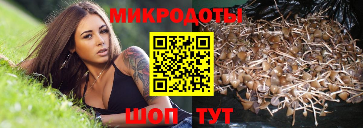 Псилоцибиновые грибы прущие грибы Изобильный